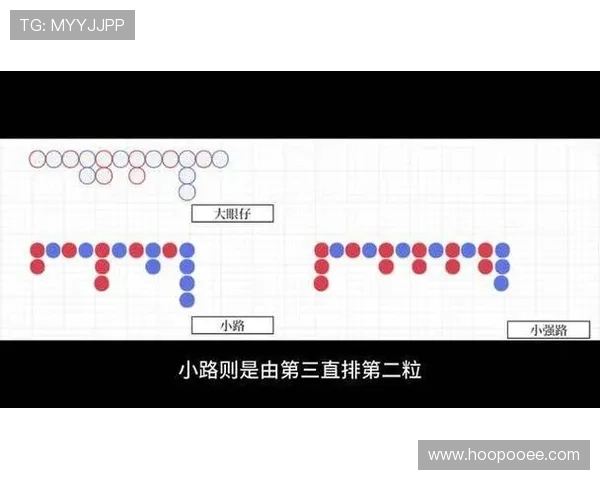 如何利用百家乐小路图分析趋势实现科学下注策略提升盈利能力