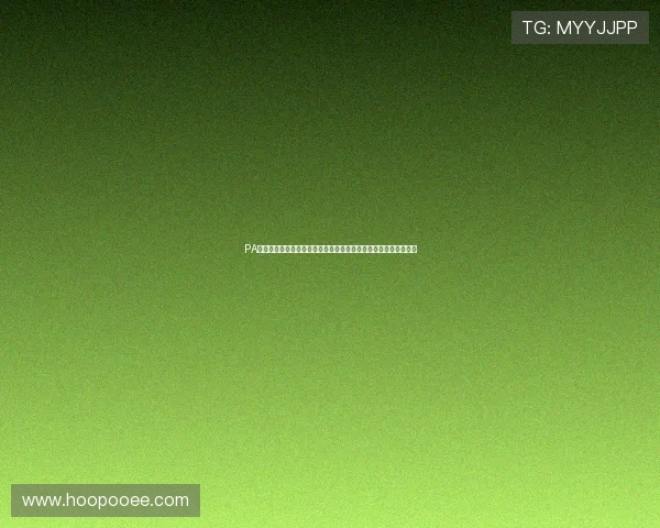 PA视讯公司助力体育网站制作专业世界杯赛事分析报道提升内容深度